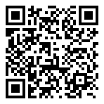 QR-Code - Flash Header
