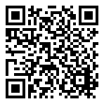 QR-Code - Logo StormHaunted