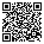 QR-Code - Professional Gaming 02